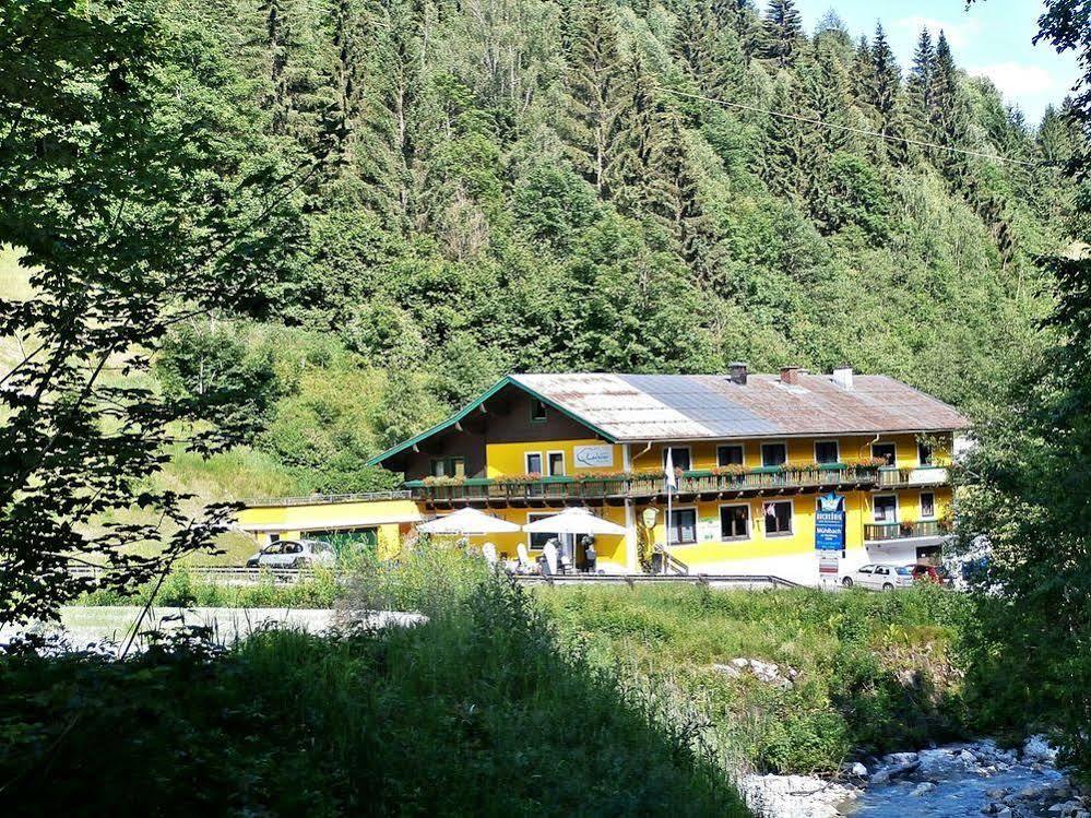 Hotel-Restaurant Bike&Snow Lederer Muhlbach Am Hochkonig Bagian luar foto